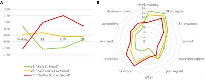 All that glitters is not gold! Job insecurity and well-being in STEM research fellows: a latent profile analysis